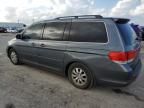 2010 Honda Odyssey EXL