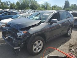 Toyota salvage cars for sale: 2020 Toyota Rav4 XLE