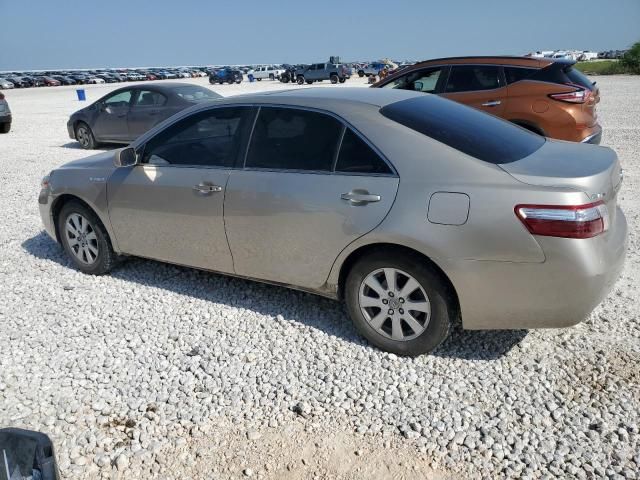 2009 Toyota Camry Hybrid