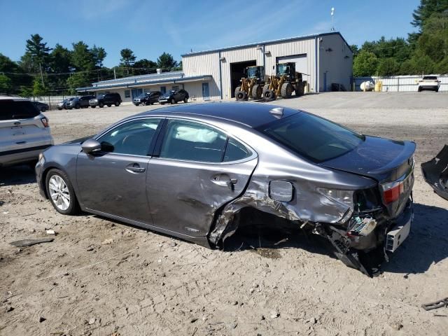 2015 Lexus ES 300H