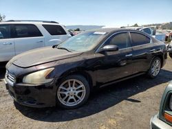 2012 Nissan Maxima S en venta en San Martin, CA