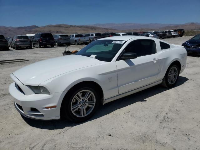 2013 Ford Mustang