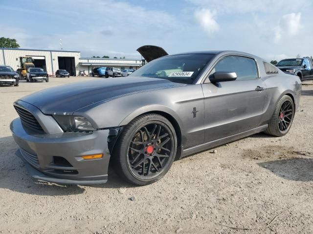 2013 Ford Mustang