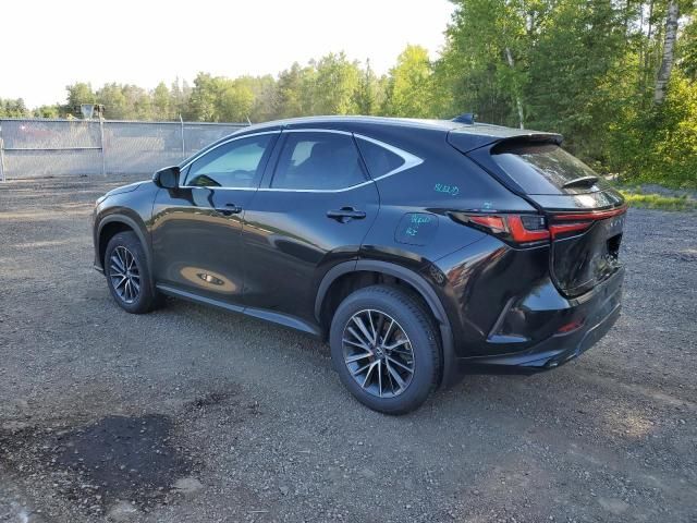 2023 Lexus NX 350H