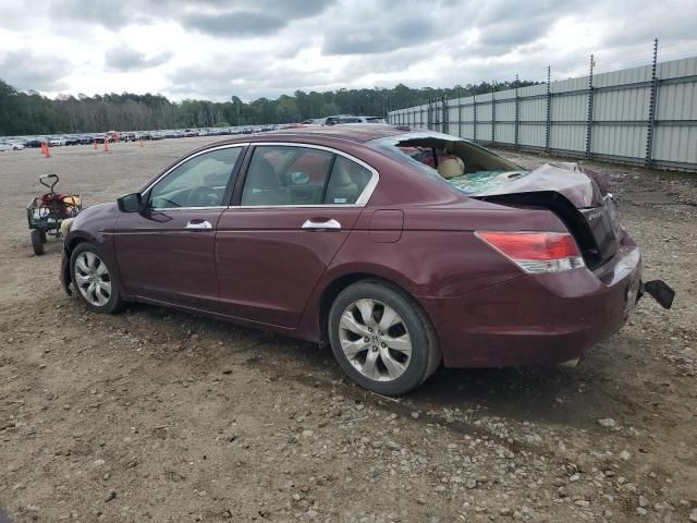 2009 Honda Accord EXL