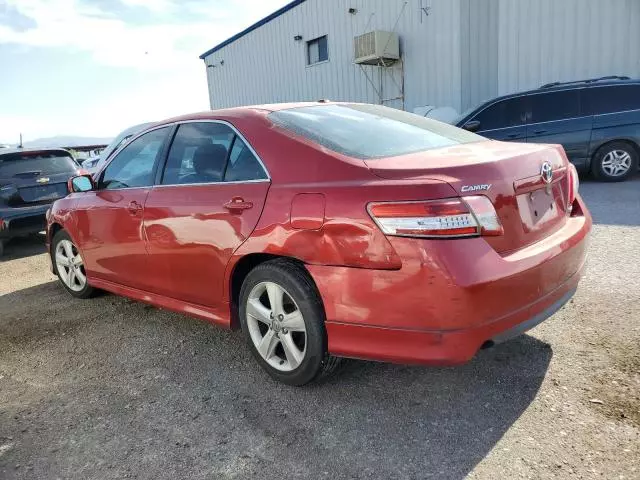 2010 Toyota Camry Base