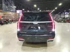 2023 Cadillac Escalade ESV Premium Luxury Platinum