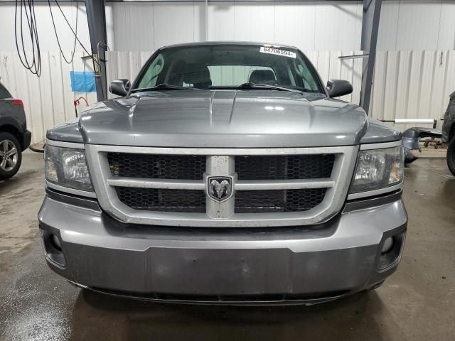 2011 Dodge Dakota SLT