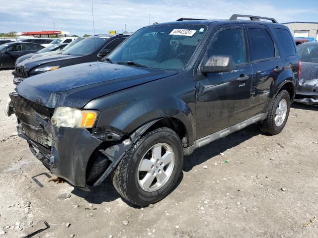 2009 Ford Escape XLT