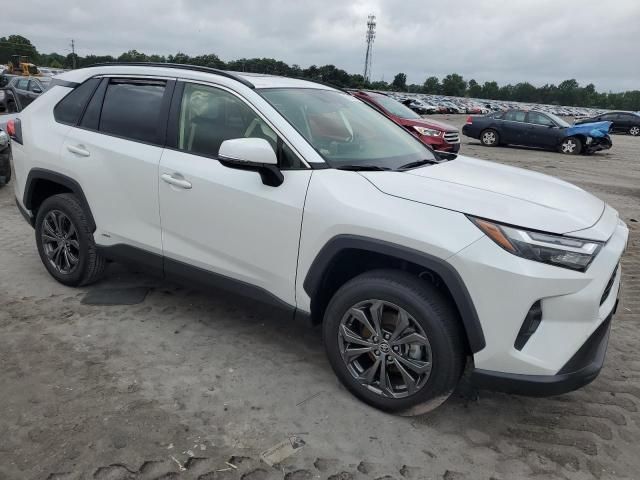 2023 Toyota Rav4 XLE Premium