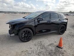 Salvage cars for sale from Copart Houston, TX: 2024 Lexus NX 350 Luxury