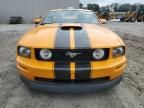 2007 Ford Mustang GT