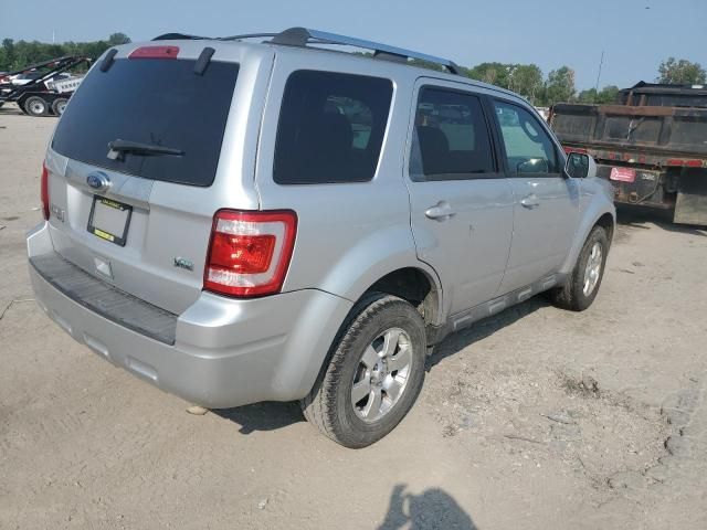 2010 Ford Escape Limited