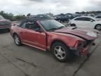 2001 Ford Mustang