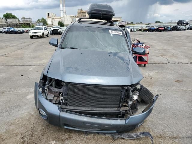 2010 Ford Escape Limited