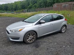 Ford salvage cars for sale: 2016 Ford Focus SE