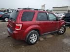 2008 Ford Escape Limited