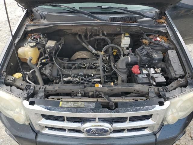 2008 Ford Escape XLT