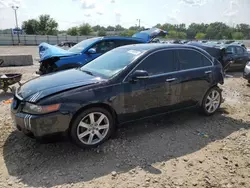 Salvage cars for sale at Louisville, KY auction: 2004 Acura TSX