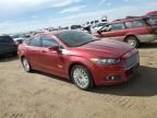 2014 Ford Fusion SE Phev