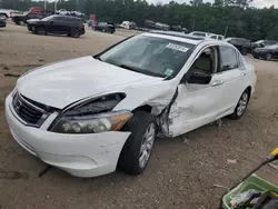 Honda Accord exl salvage cars for sale: 2009 Honda Accord EXL