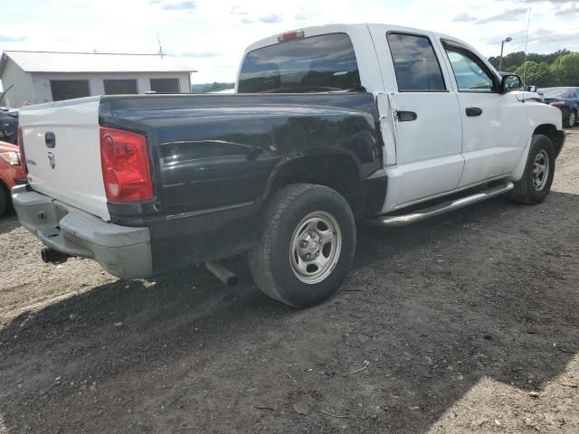 2006 Dodge Dakota Quattro