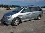 2005 Honda Odyssey EXL