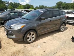 Ford Vehiculos salvage en venta: 2016 Ford Escape SE