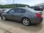 2006 Nissan Maxima SE