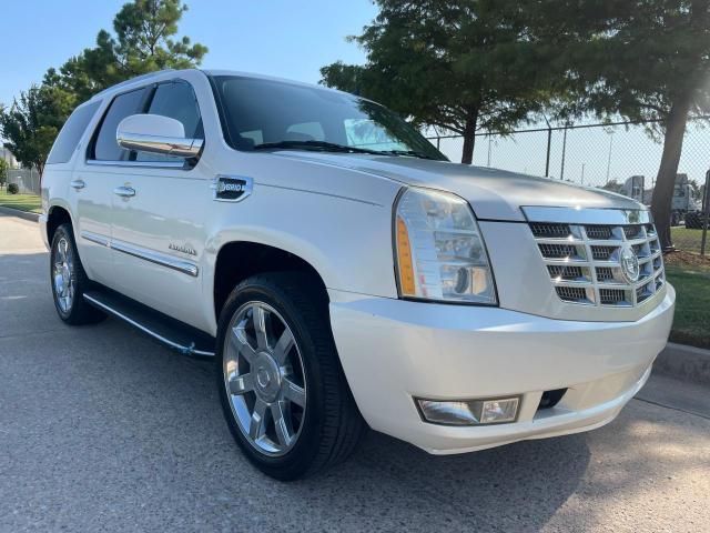 2010 Cadillac Escalade Hybrid