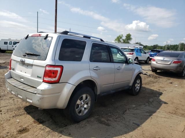 2010 Ford Escape Limited