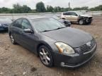 2004 Nissan Maxima SE