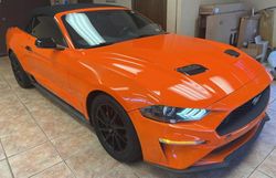 Salvage cars for sale at Oklahoma City, OK auction: 2019 Ford Mustang