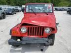 2000 Jeep Wrangler / TJ SE