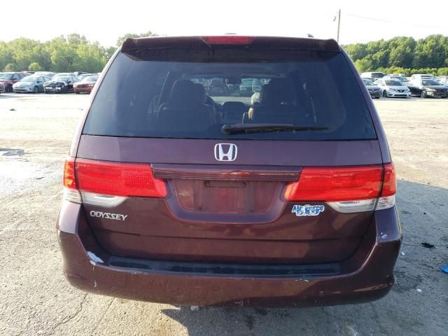 2010 Honda Odyssey EXL