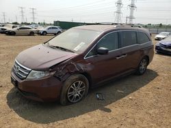 Salvage cars for sale at Elgin, IL auction: 2013 Honda Odyssey EXL