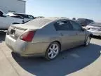 2004 Nissan Maxima SE