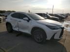 2024 Lexus NX 350H Base