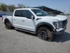 2024 Ford F150 Raptor