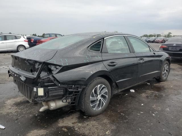 2021 Hyundai Sonata Hybrid