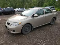 Carros con título limpio a la venta en subasta: 2010 Toyota Corolla Base