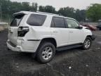 2020 Toyota 4runner SR5/SR5 Premium