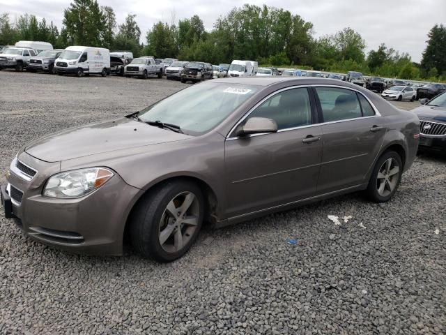 2011 Chevrolet Malibu 1LT