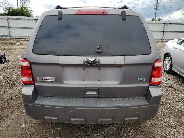 2010 Ford Escape XLT