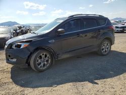 Salvage cars for sale from Copart Helena, MT: 2015 Ford Escape SE