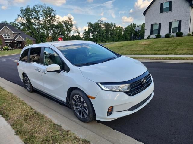 2023 Honda Odyssey EXL