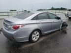 2015 Hyundai Sonata Hybrid