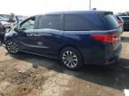 2023 Honda Odyssey EXL