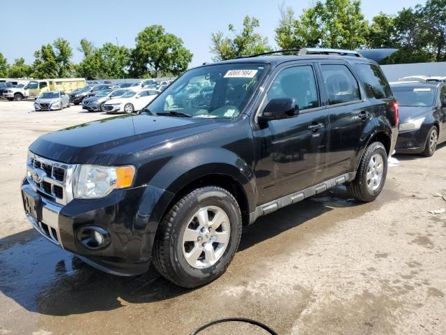 2011 Ford Escape Limited