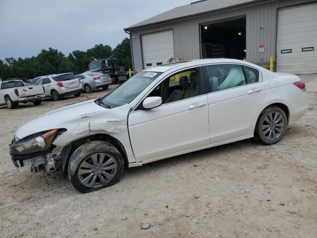 2011 Honda Accord EXL